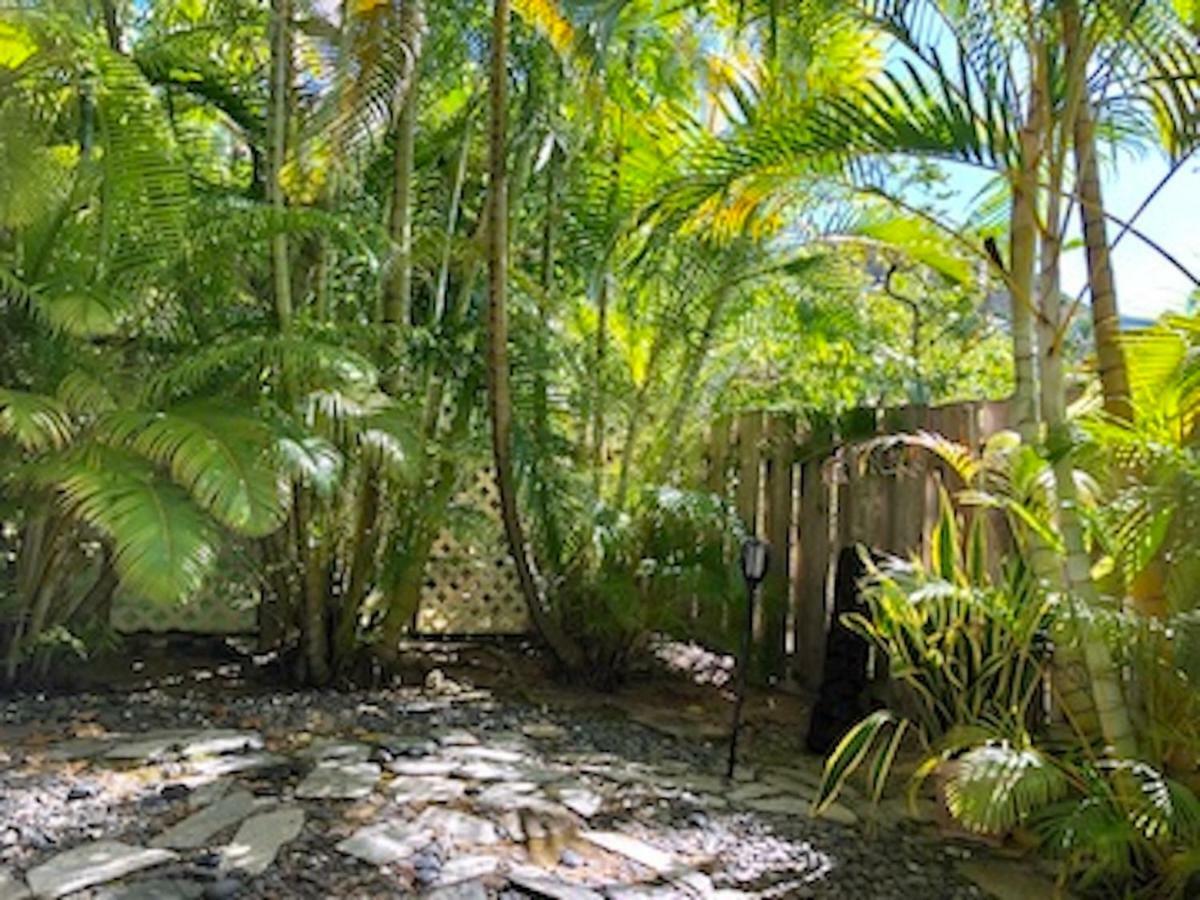 Lovely Relaxing Lanikai Studio, Legal Vacation Rental Kailua Zewnętrze zdjęcie