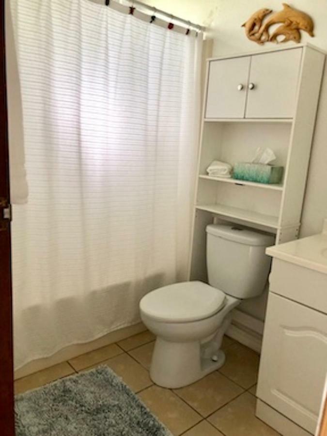 Lovely Relaxing Lanikai Studio, Legal Vacation Rental Kailua Zewnętrze zdjęcie