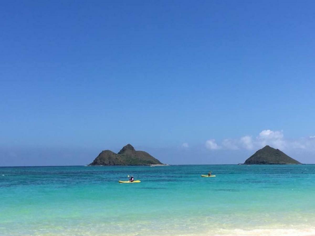 Lovely Relaxing Lanikai Studio, Legal Vacation Rental Kailua Zewnętrze zdjęcie