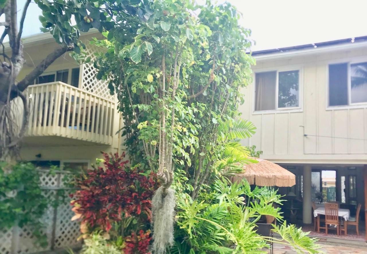 Lovely Relaxing Lanikai Studio, Legal Vacation Rental Kailua Zewnętrze zdjęcie